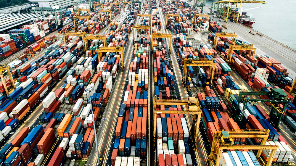 NVOCC & Freight Forwarding transport operations